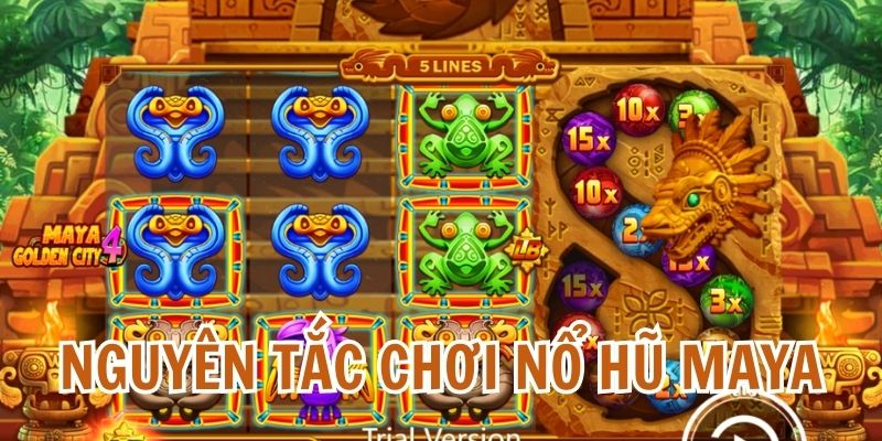 Nguyên tắc tham gia cược chung của game